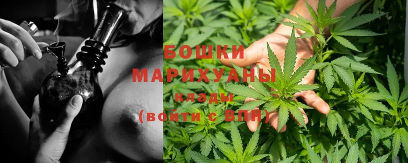 кракен tor  Шадринск  МАРИХУАНА SATIVA & INDICA 